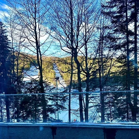 Mountain View - In Out - Apartment