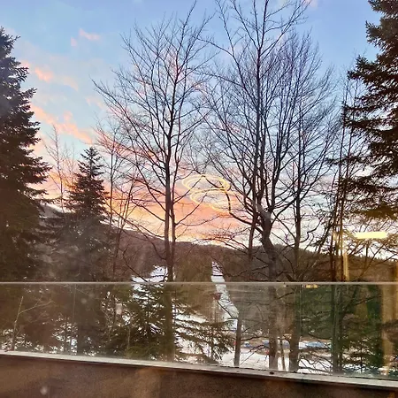 Apartment Mountain View - In Out -