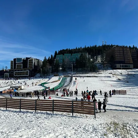 Mountain View - In Out - Apartment Bjelašnica