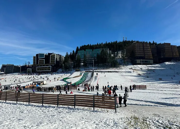 Mountain View - In Out - Apartment Bjelasnica